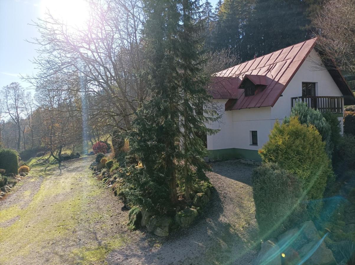 Pension Doro Cerny Dul Exterior photo