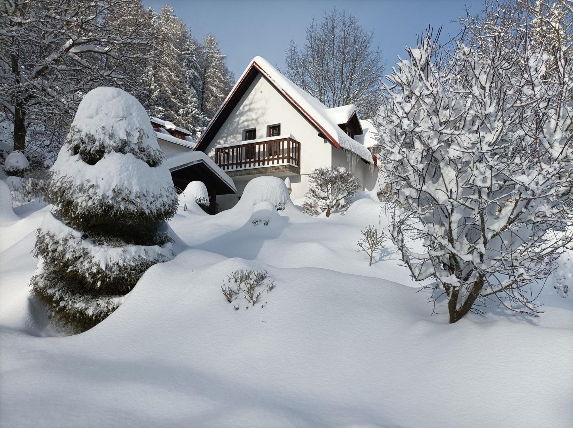 Pension Doro Cerny Dul Exterior photo