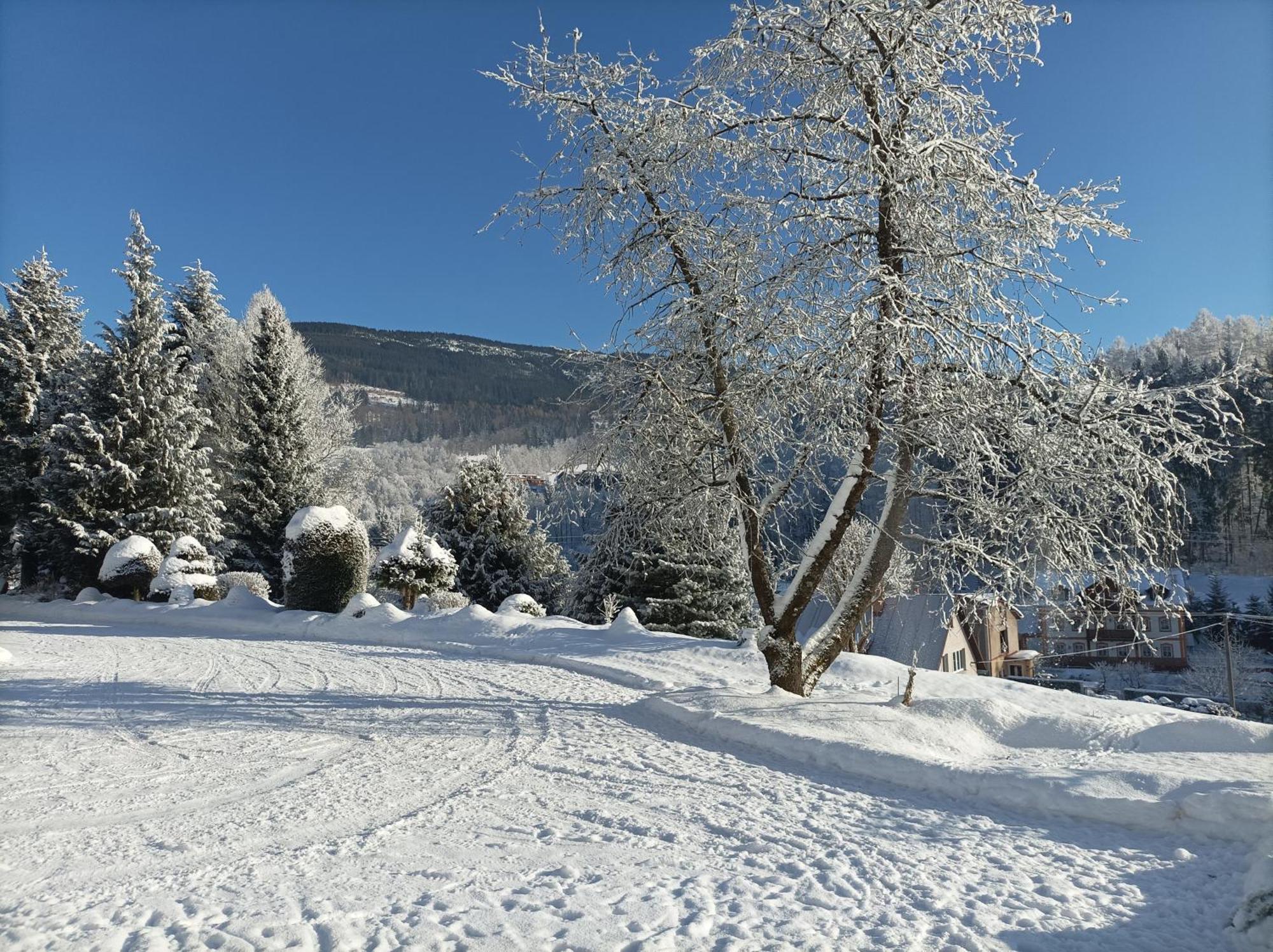 Pension Doro Cerny Dul Exterior photo